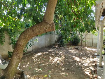 place photo 25