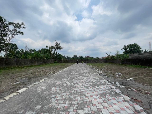 place photo 6