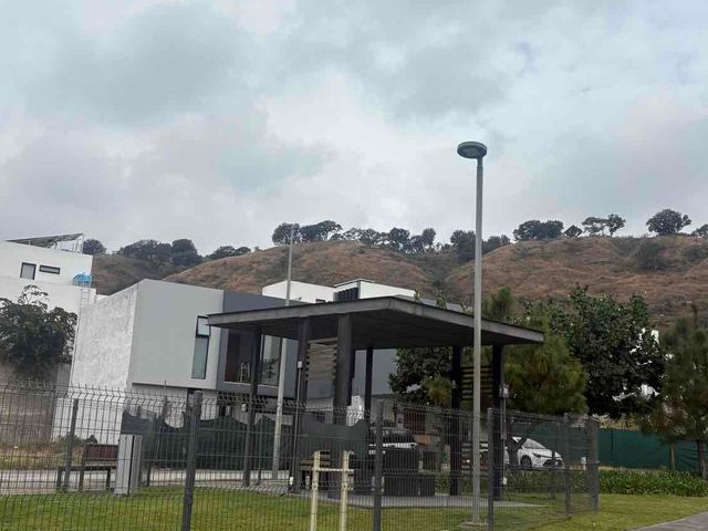 place photo 34