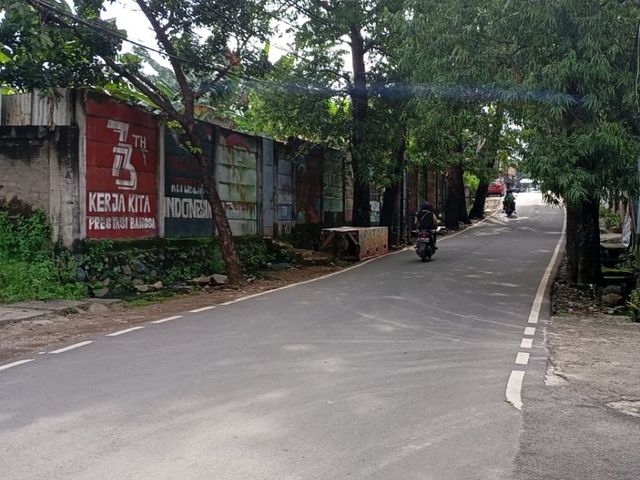 place photo 13