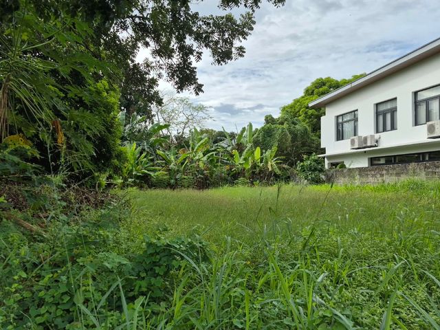 RESIDENTIAL VACANT LOT FOR SALE IN AYALA ALABANG, MUNTINLUPA CITY