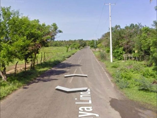 place photo 3