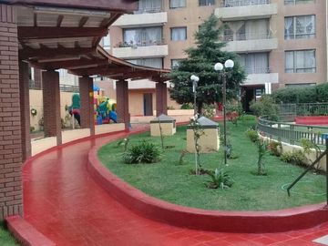 place photo 29