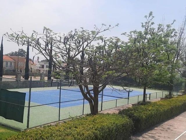 place photo 35