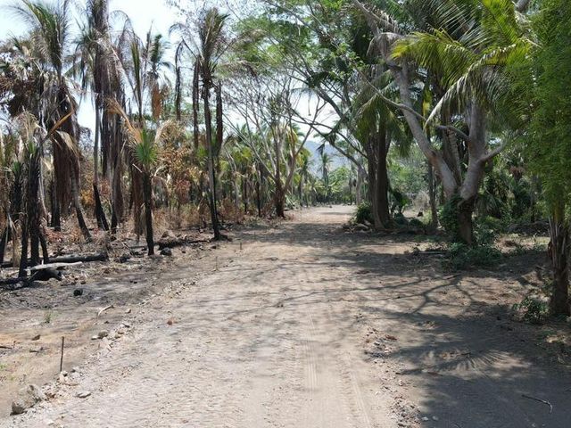 place photo 5