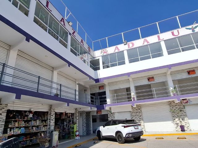 place photo 17