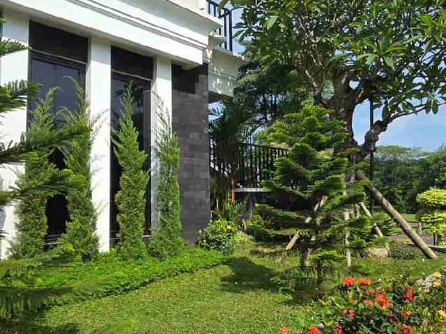 place photo 30
