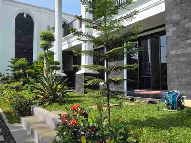 place photo 33