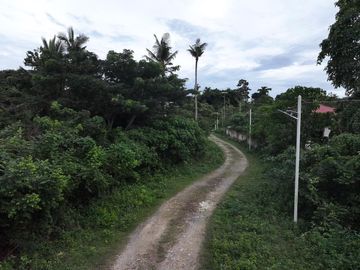 place photo 28