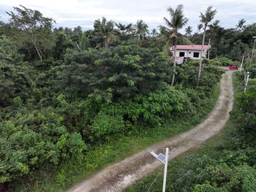 place photo 43