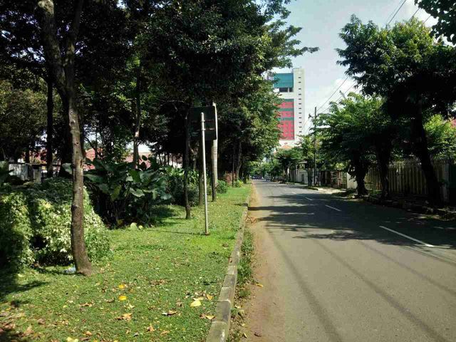 place photo 3