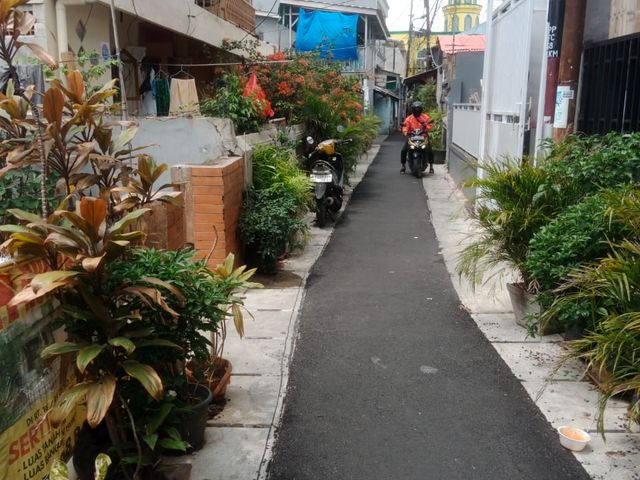 place photo 10
