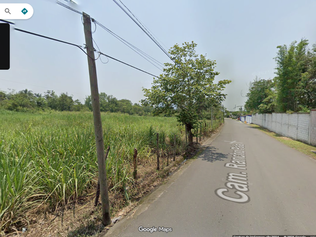 place photo 12