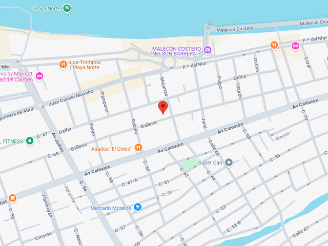 place photo 6