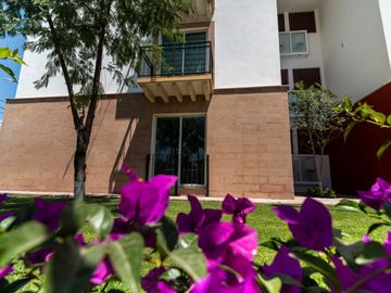 place photo 42
