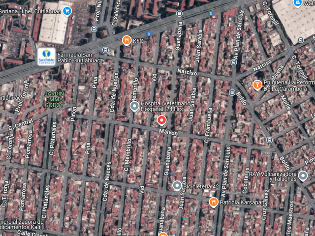 place photo 7