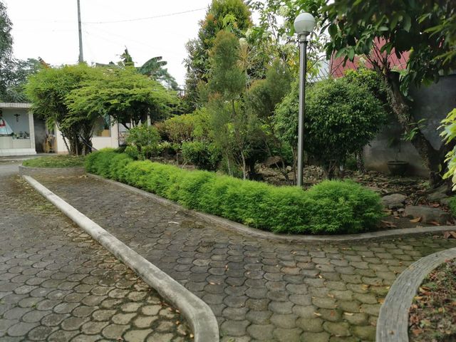 place photo 9