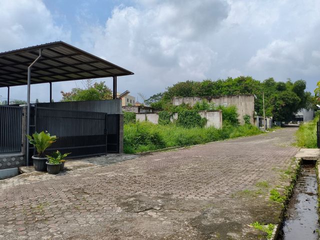 place photo 3