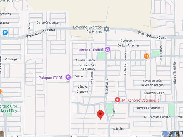 place photo 9