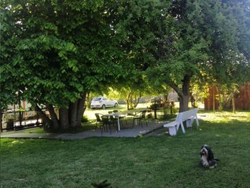 place photo 13