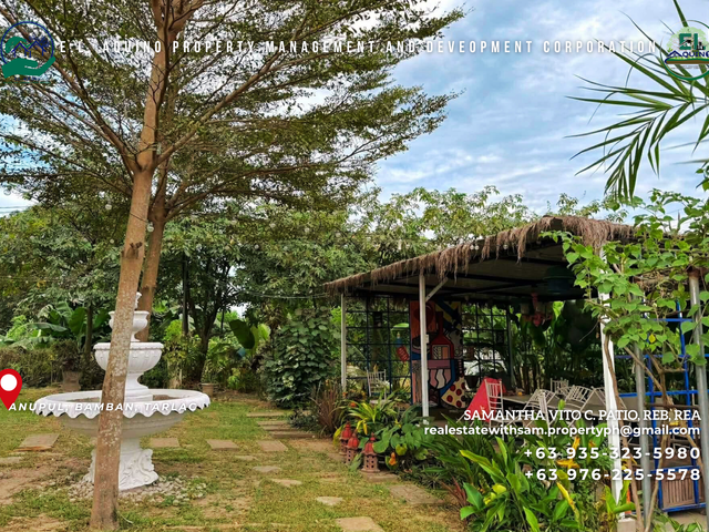 place photo 20
