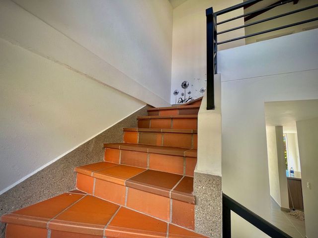 place photo 58