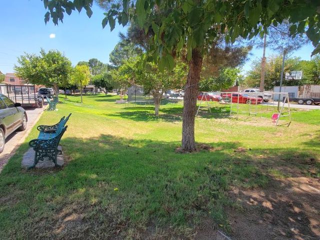 place photo 15