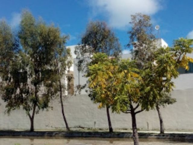 place photo 18
