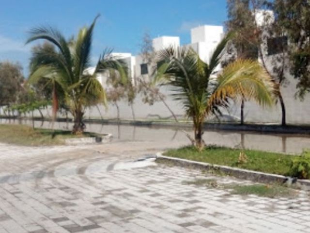 place photo 23