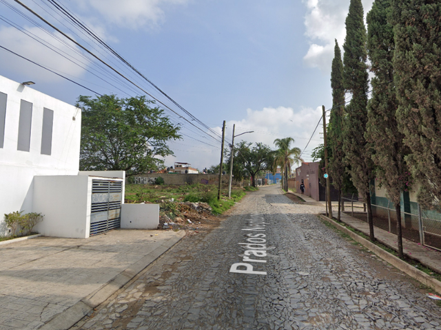 place photo 4