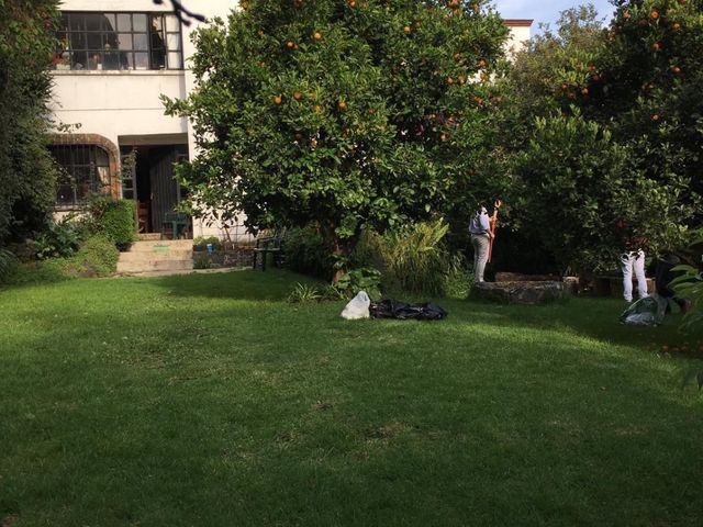 place photo 30