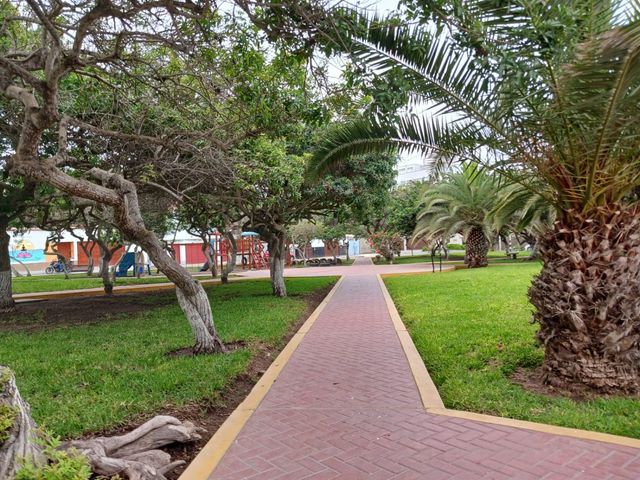 place photo 46