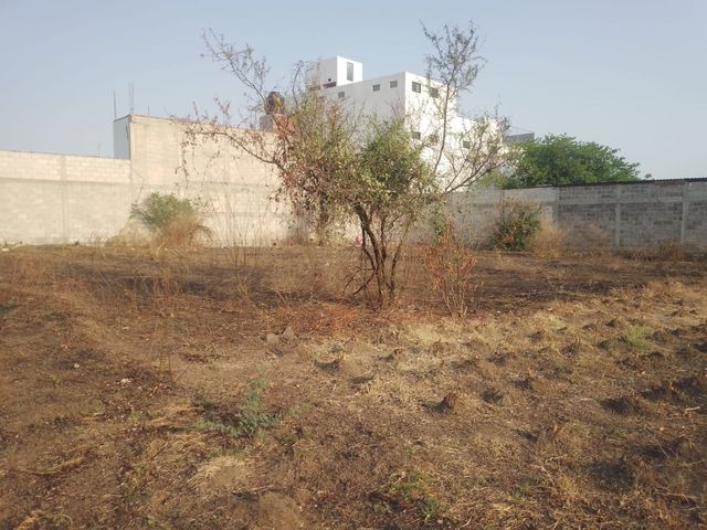 place photo 10