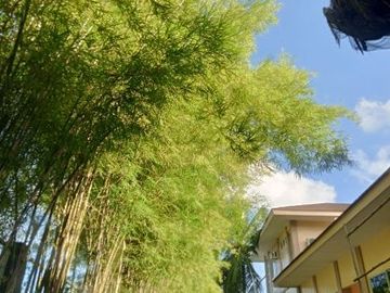 place photo 31
