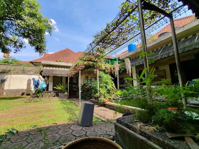 place photo 29