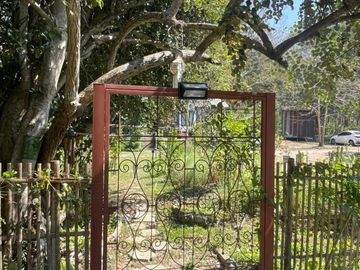 place photo 19