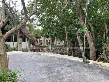 place photo 38