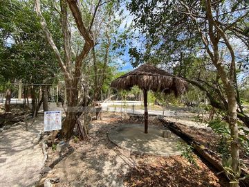 place photo 45