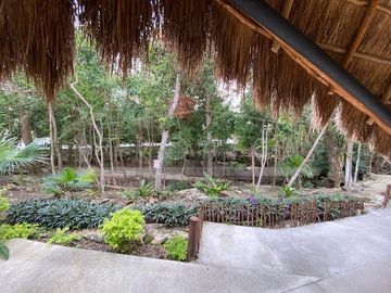 place photo 51