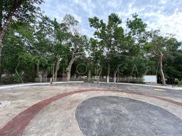 place photo 54