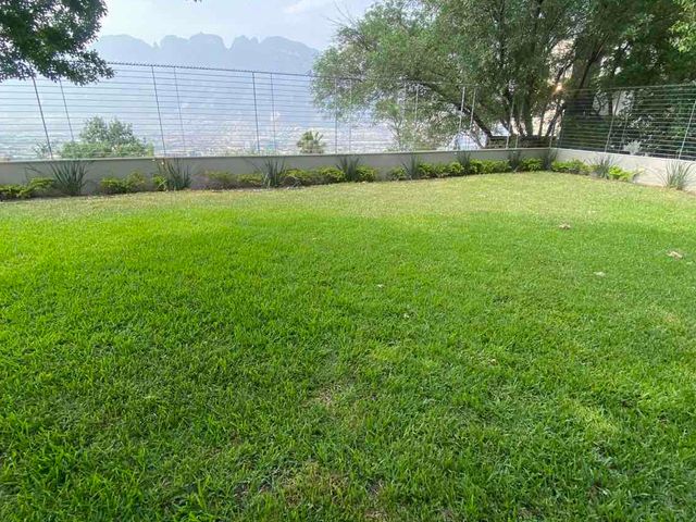 place photo 43