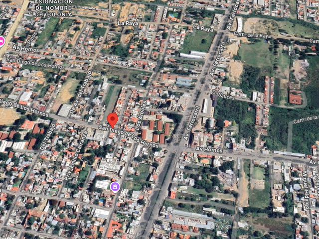place photo 8