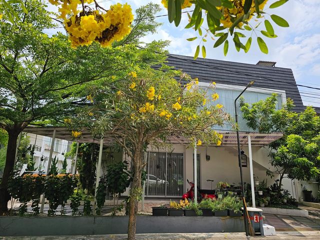 place photo 33