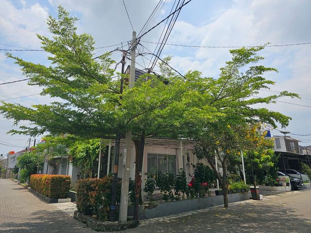 place photo 34