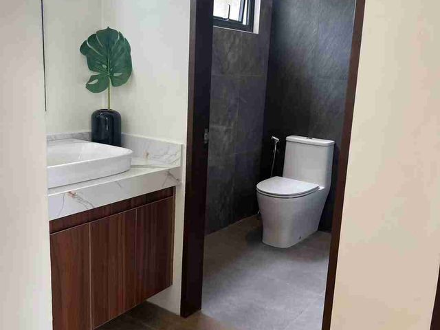 place photo 30