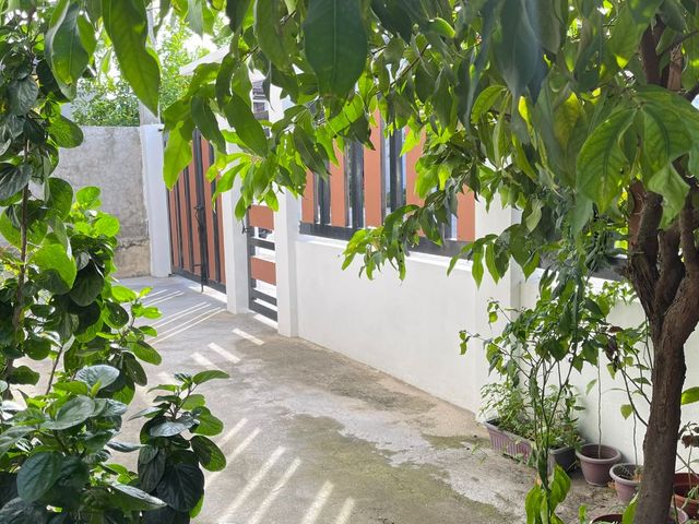 place photo 47