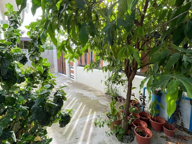 place photo 48