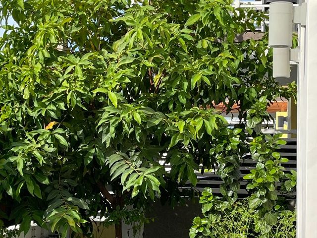 place photo 51