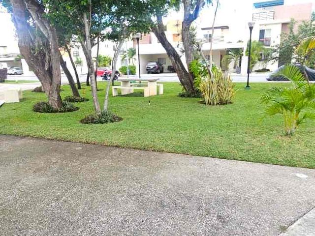 place photo 26