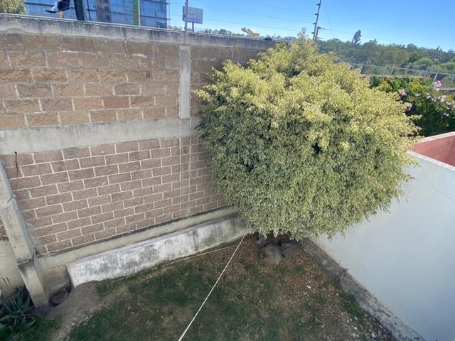 place photo 36